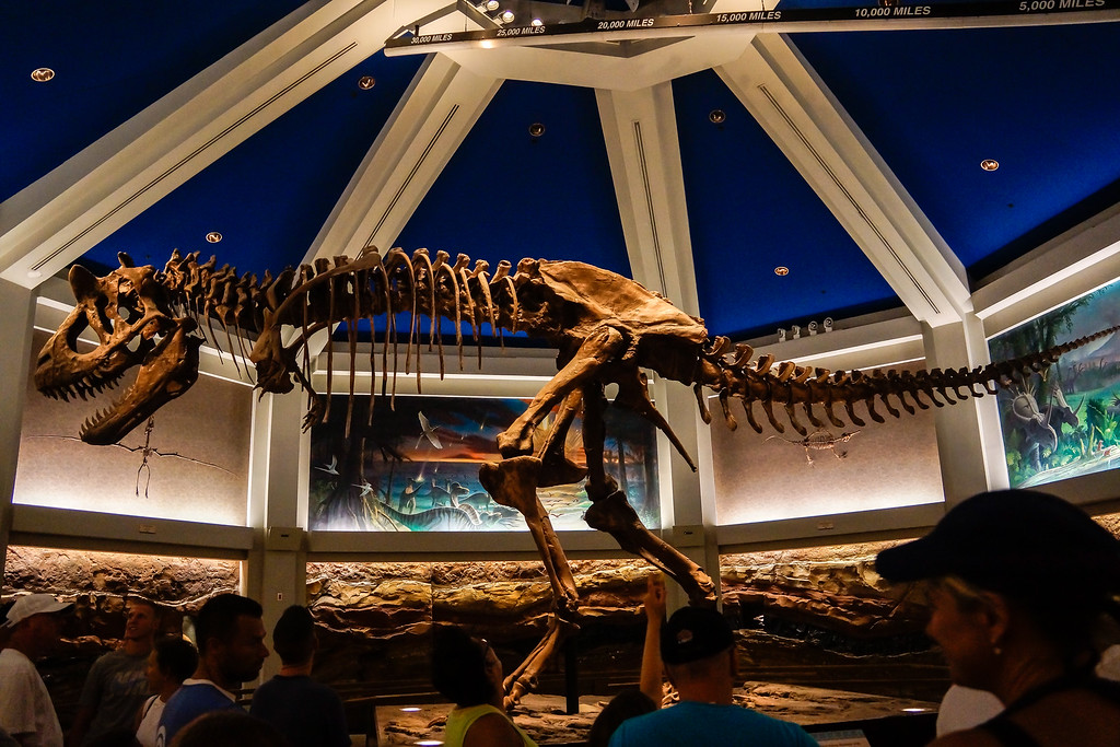 _DSC5349-XL.jpg