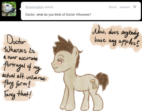 tumblr_lpdstz8BWp1r0cqcyo1_500.jpg