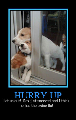 swine+flu+humor.jpg