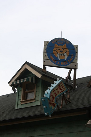643606955_QwMfJ-M.jpg