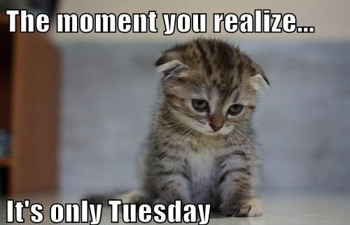 Tuesday_Meme.jpg