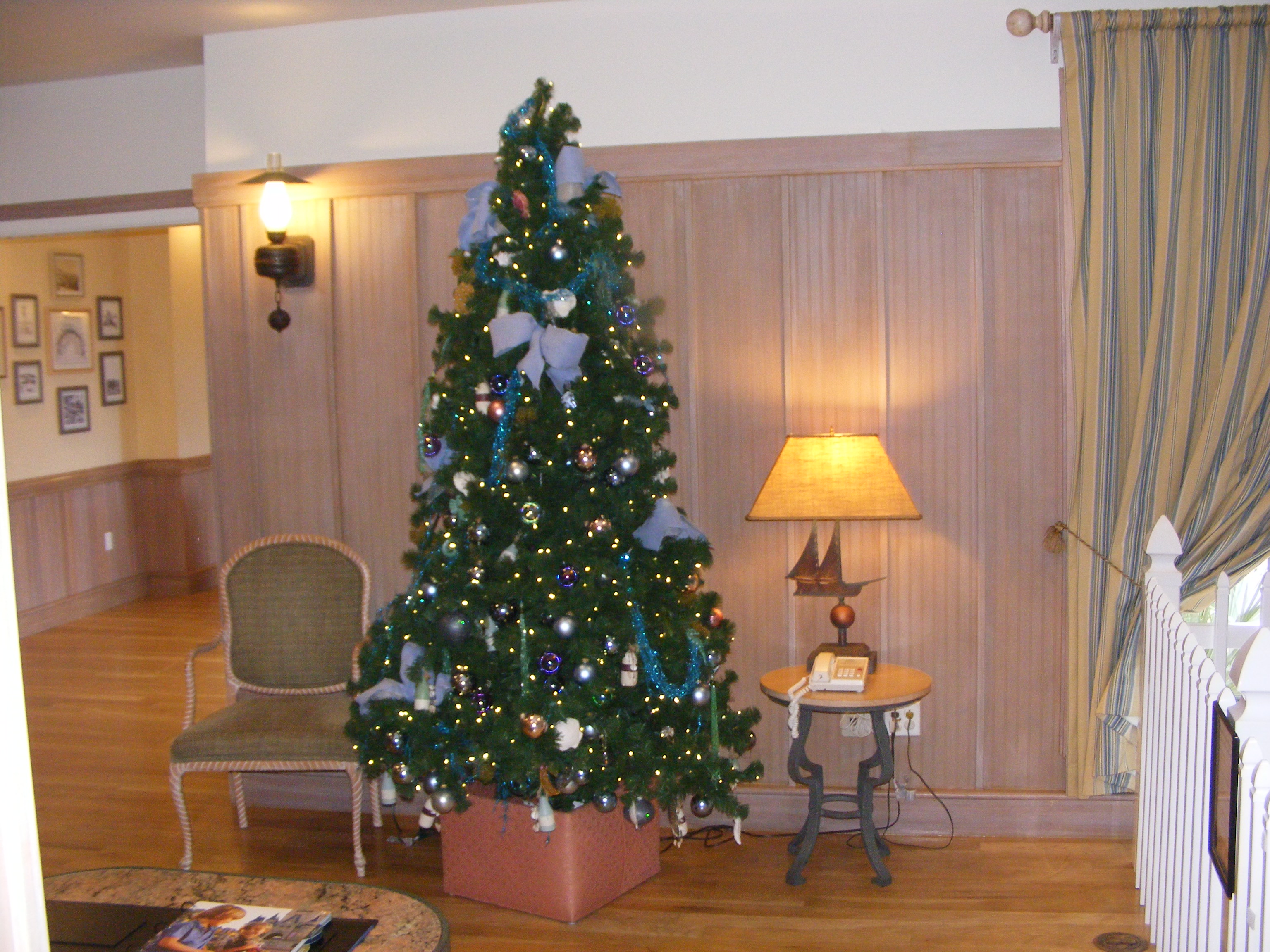 11223087224-bd9e0de982-o.jpg