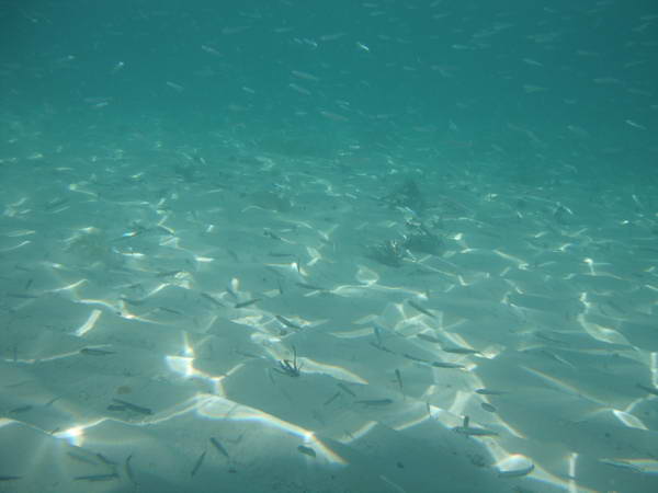 DSCF1345.JPG