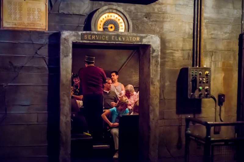 DSC_1132-L.jpg