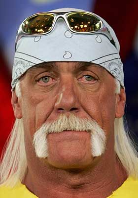 Image result for hulk hogan moustache