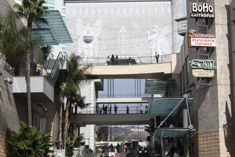 IMG0935-L.jpg