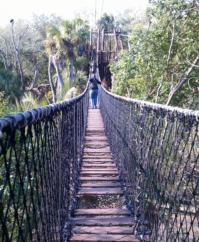 Walking-first-bridge-med.jpg
