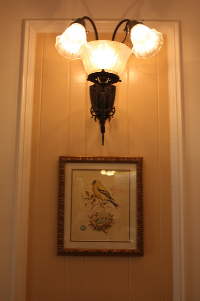 IMG9269-L.jpg