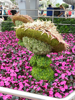 DSCN0827.JPG