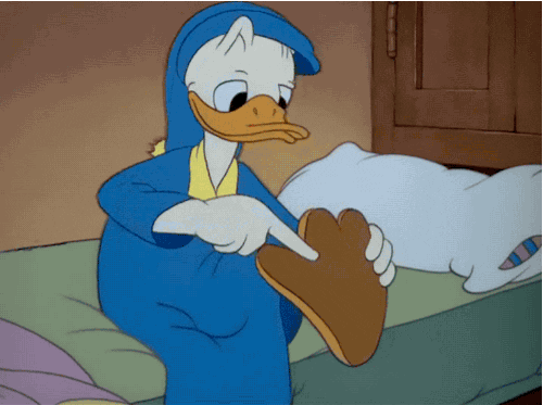 giphy.gif