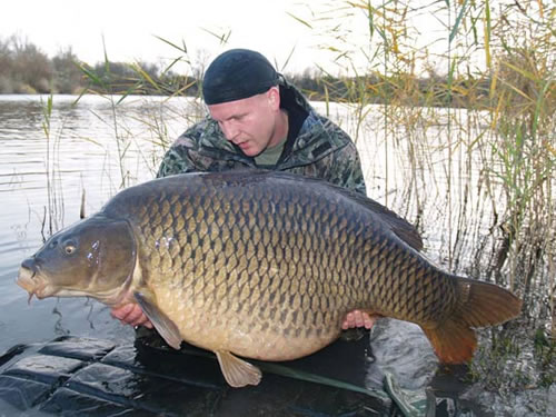 large-carp.jpg