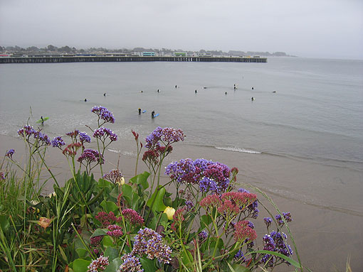santa-cruz-may03-2006-b.jpg