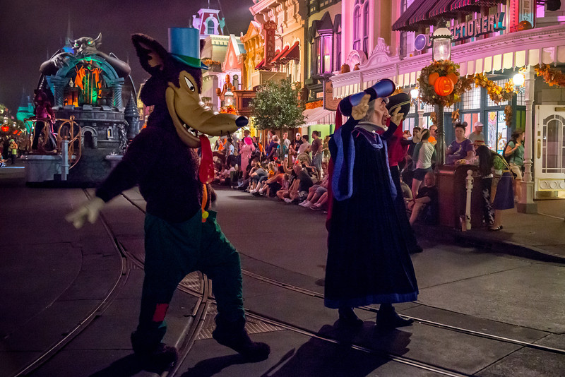DSC_2898-L.jpg