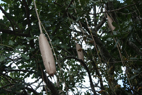 643615559_xChsJ-M.jpg