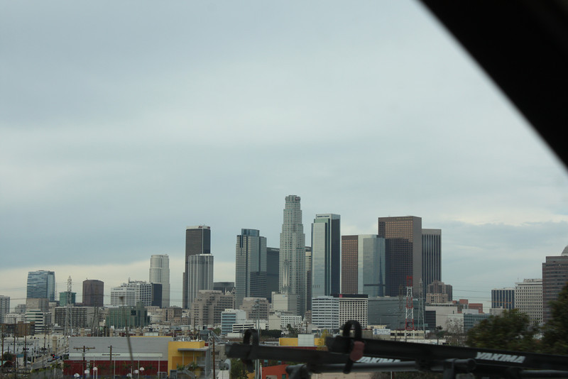 IMG0819-L.jpg