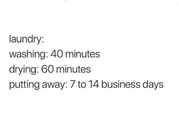 86116433.jpg