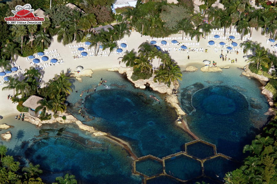 discovery-cove-dolphin-pools-big.jpg