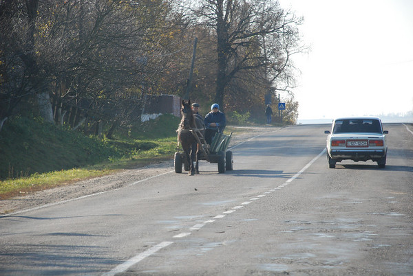 DSC_9816-M.jpg