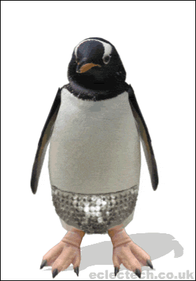 discopenguinpants.gif
