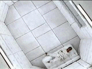padded-cell.gif