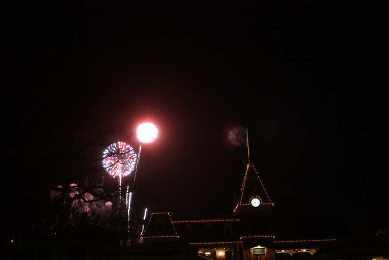 IMG0649-L.jpg