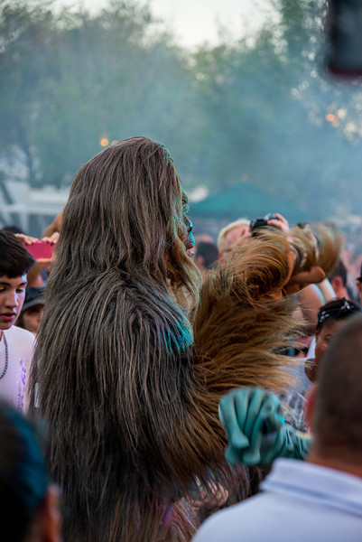 DSC_2262-L.jpg
