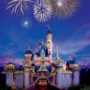 disney_castle_night.jpg