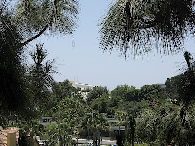IMG_7947.JPG