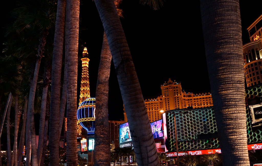 _DSC2722-XL.jpg