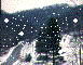 snow1.gif