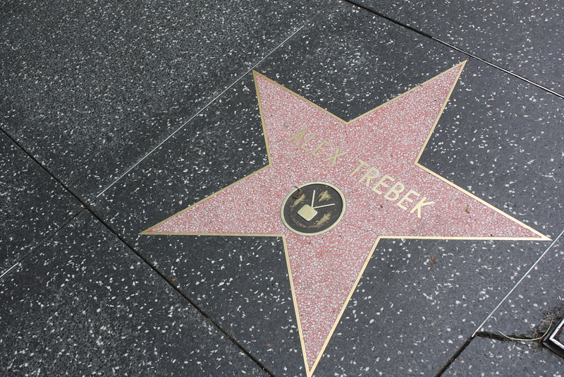 IMG0858-L.jpg
