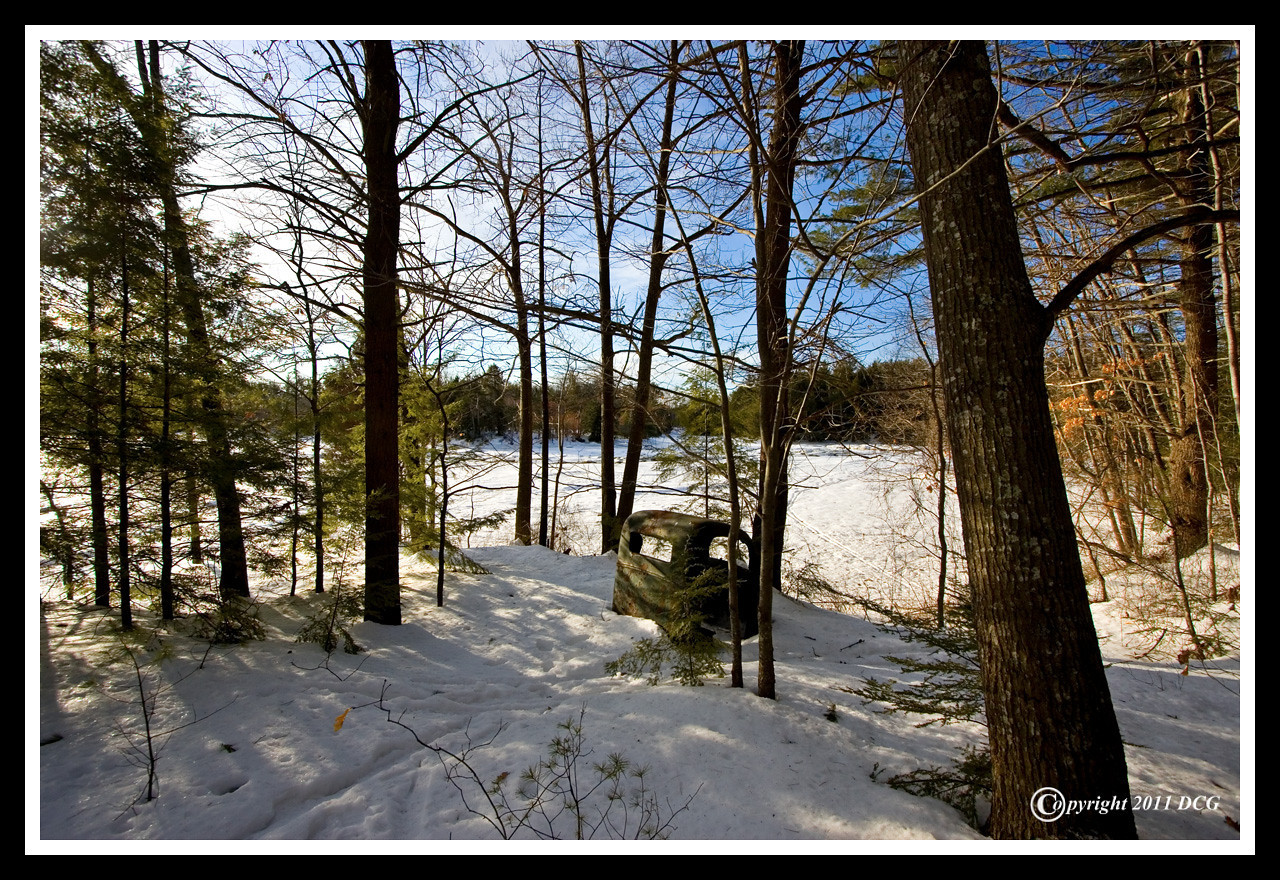 1189410653_8jof9-X2.jpg