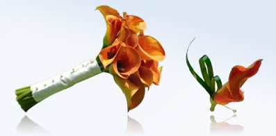 calla.jpg