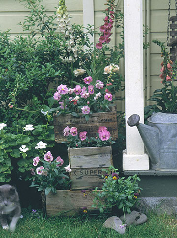 p_SIP834729.jpg
