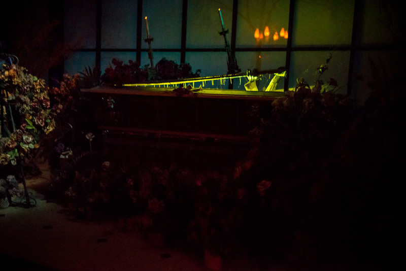DSC_2503-L.jpg