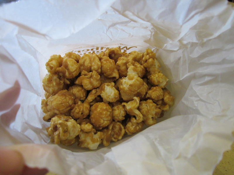 IMG0483-L.jpg