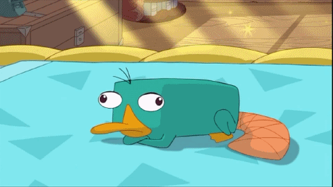 tumblr_lsr4esTGSo1qjokxe.gif