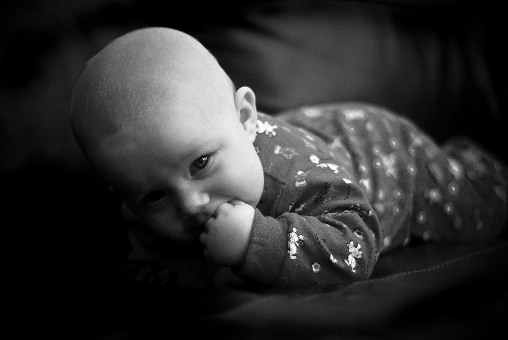 448609997_FbDnh-XL.jpg