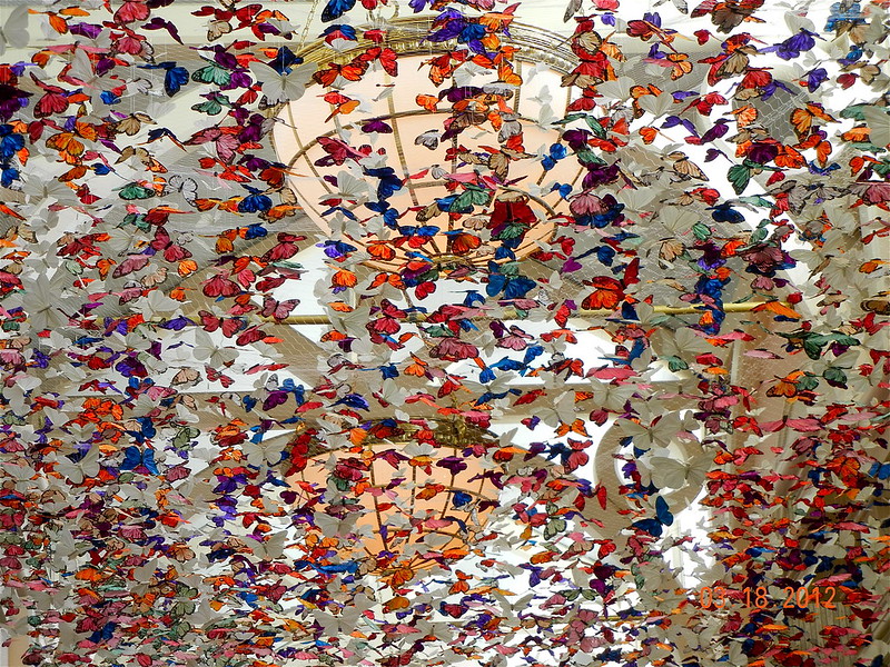8159454065_382b842987_c.jpg