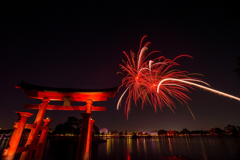 DSC_2578-L.jpg