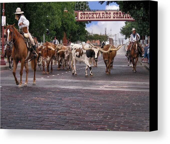 fort-worth-cattle-drive-david-and-carol-kelly-canvas-print.jpg