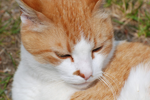 DSC7002-M.jpg