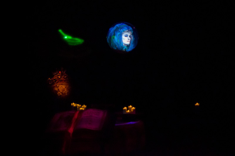 DSC_2513-L.jpg