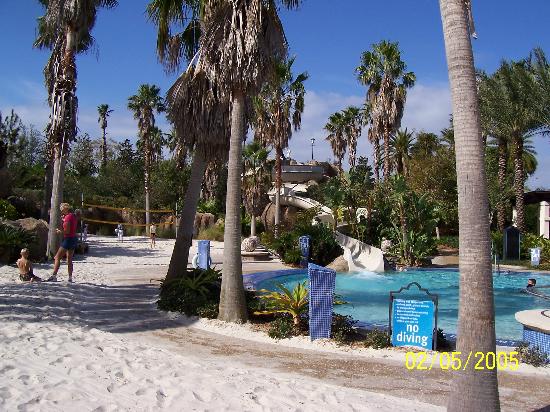 pool-area.jpg