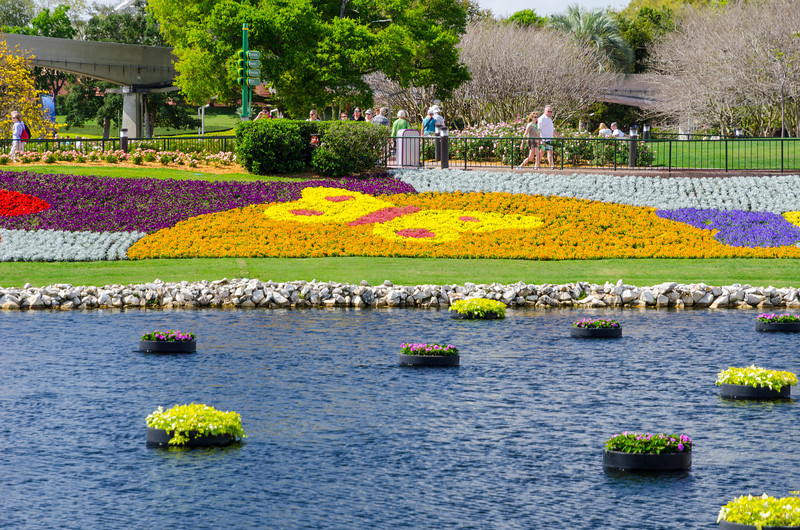 DSC1377-L.jpg