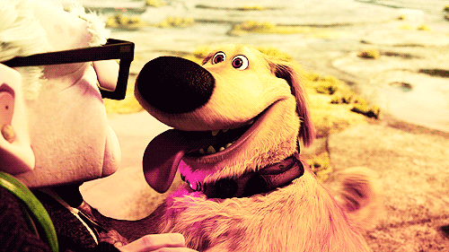 tumblr_lvkk0dsOY51qiol6o.gif