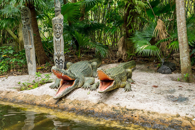 DSC_3473-L.jpg