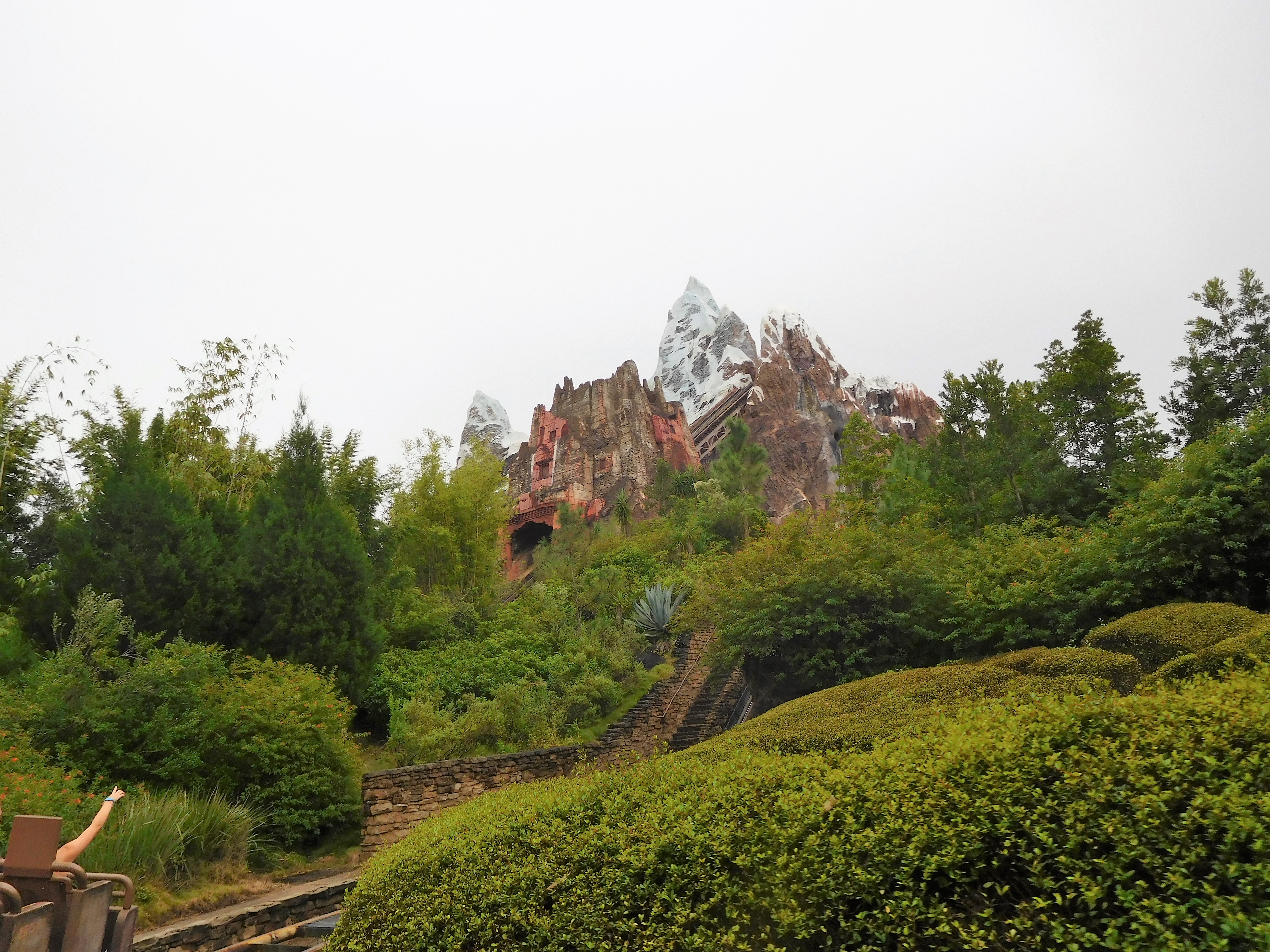 DSCN4356.jpg