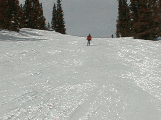 jo-skiing.gif