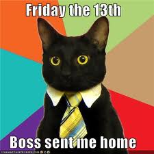 business%20cat.jpg
